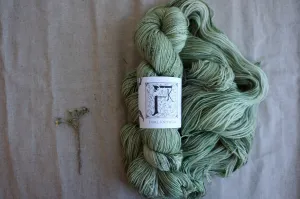 Athena - New Spring