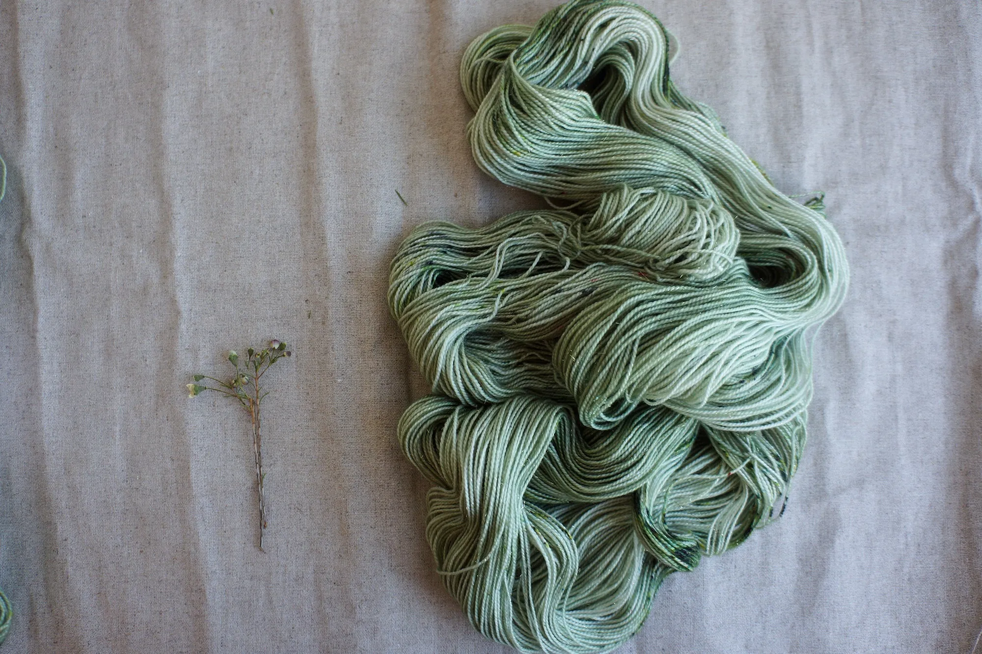 Athena - New Spring