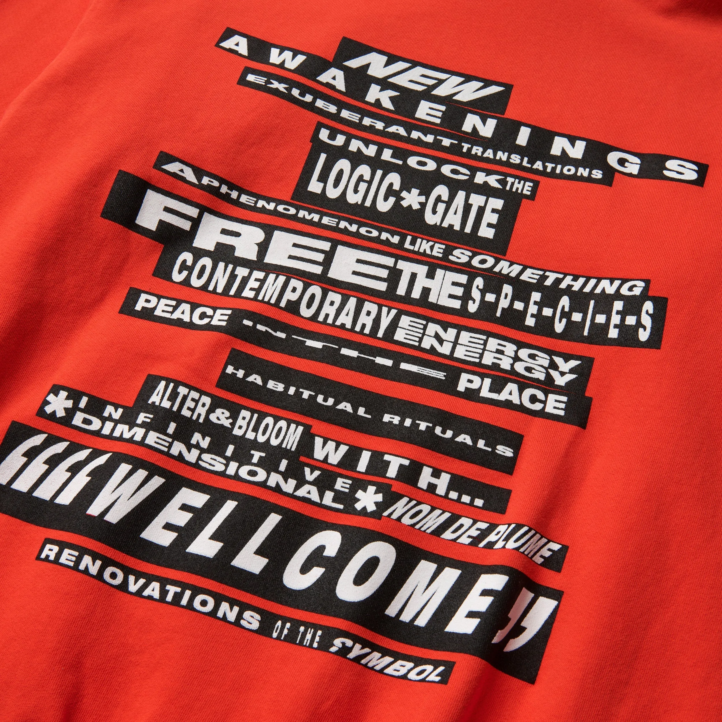 Awakenings Hoody