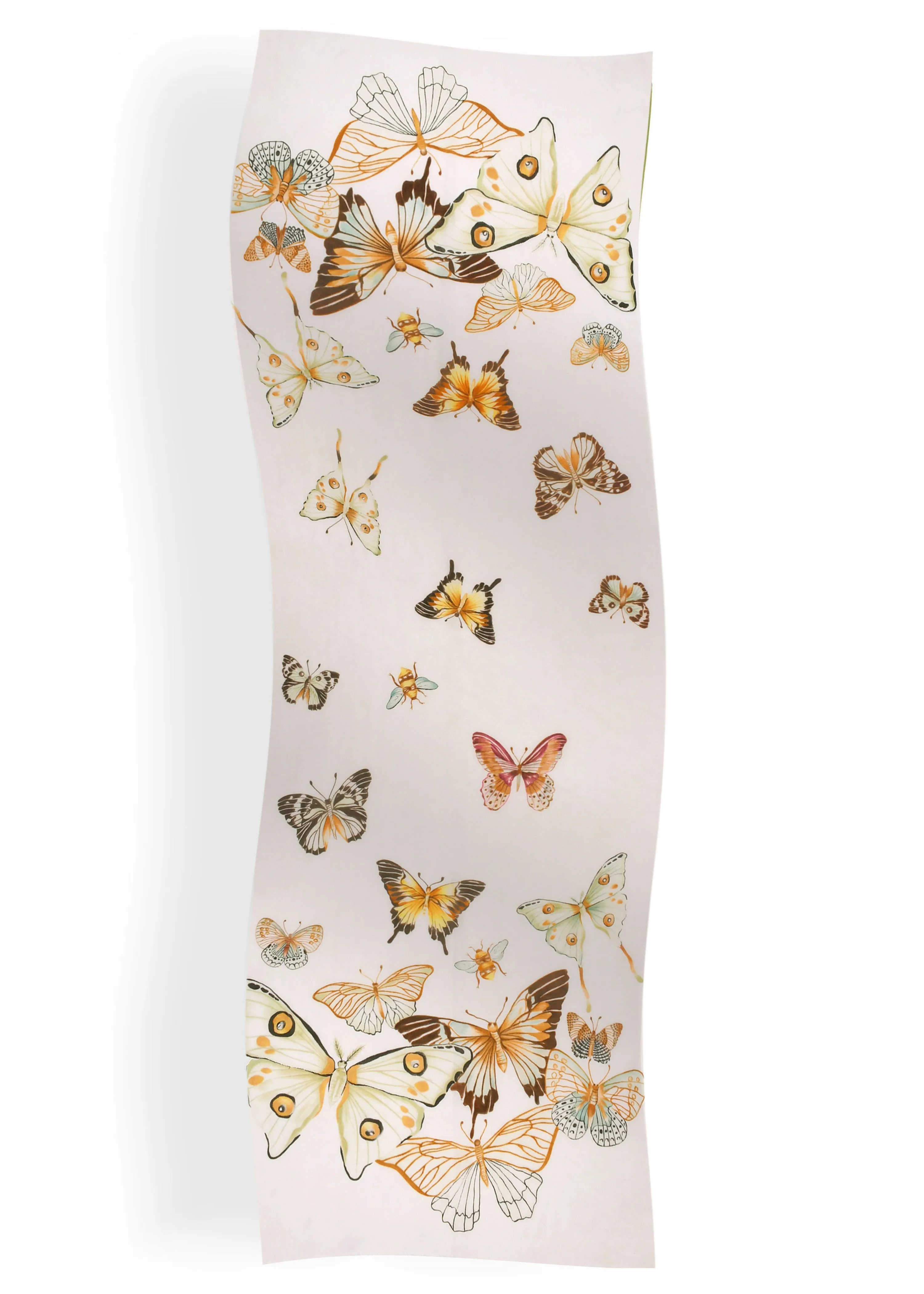 Butterflies in Cashmere