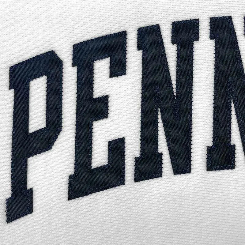 Champion Reverse Weave Heavyweight Twill Letter Crewneck Sweatshirt