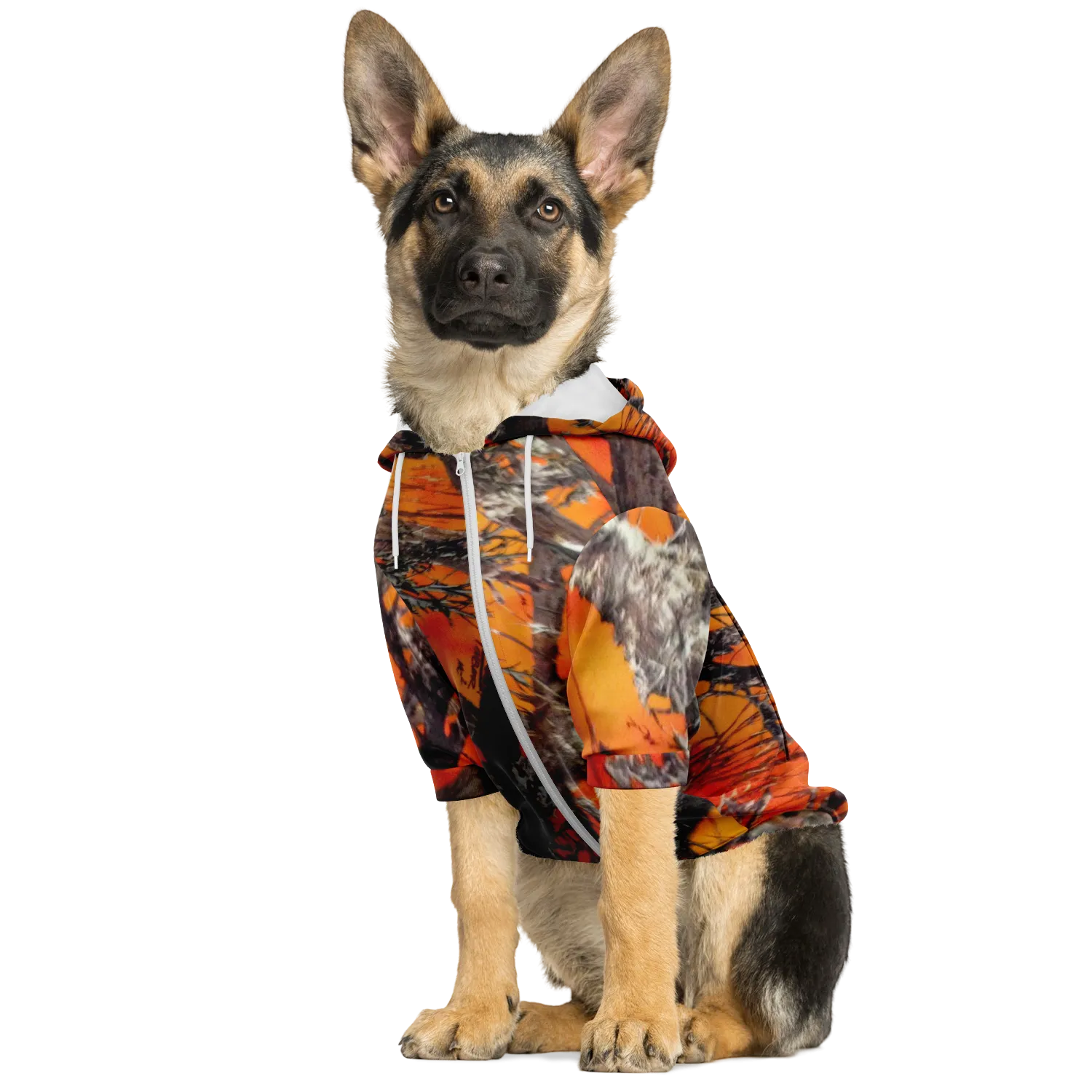 Dog Orange camo-2021