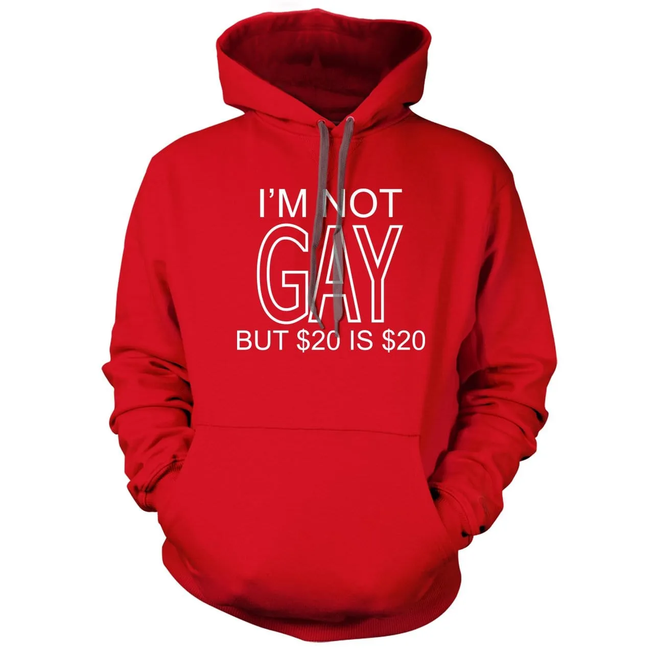 I'm Not Gay But $20 Is $20 Hoodie