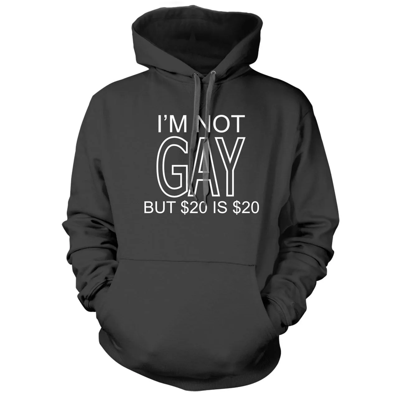 I'm Not Gay But $20 Is $20 Hoodie
