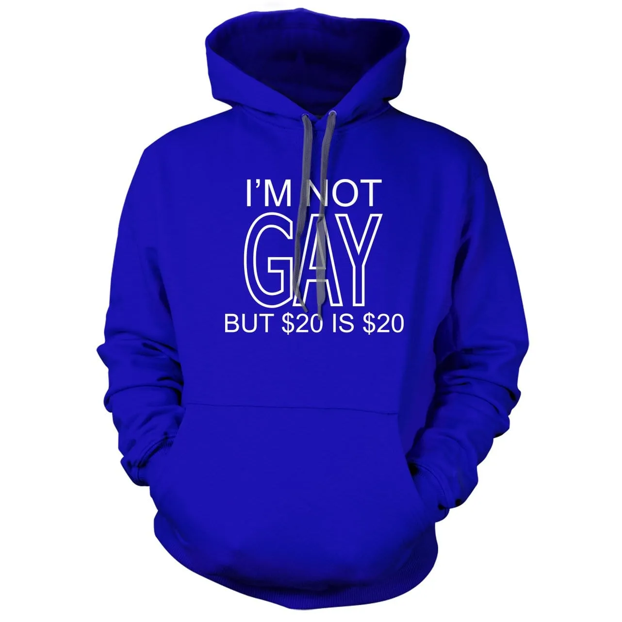 I'm Not Gay But $20 Is $20 Hoodie