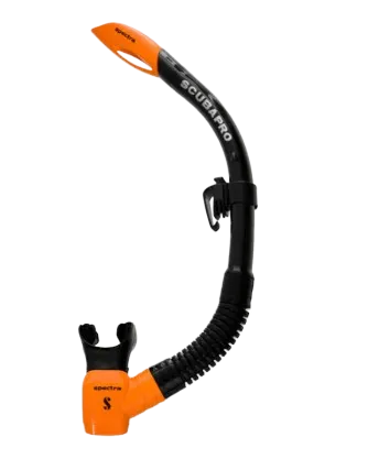 Neptune M6 Mask & Spectra Snorkel