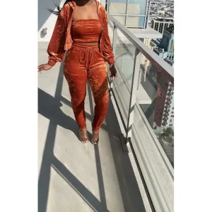 New Women's Three-Piece Velour Crop Top Short Jacket Set Tracksuit/Crop Top with Hood/Y2K Velvet Leisure Set/Street wear/Velour Lounge wear