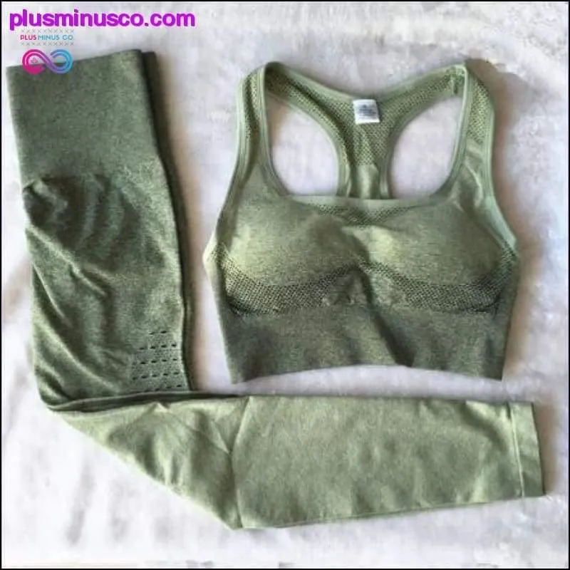 Ombre Seamless Gym Fitness Suit Bra Leggings High Waist Yoga