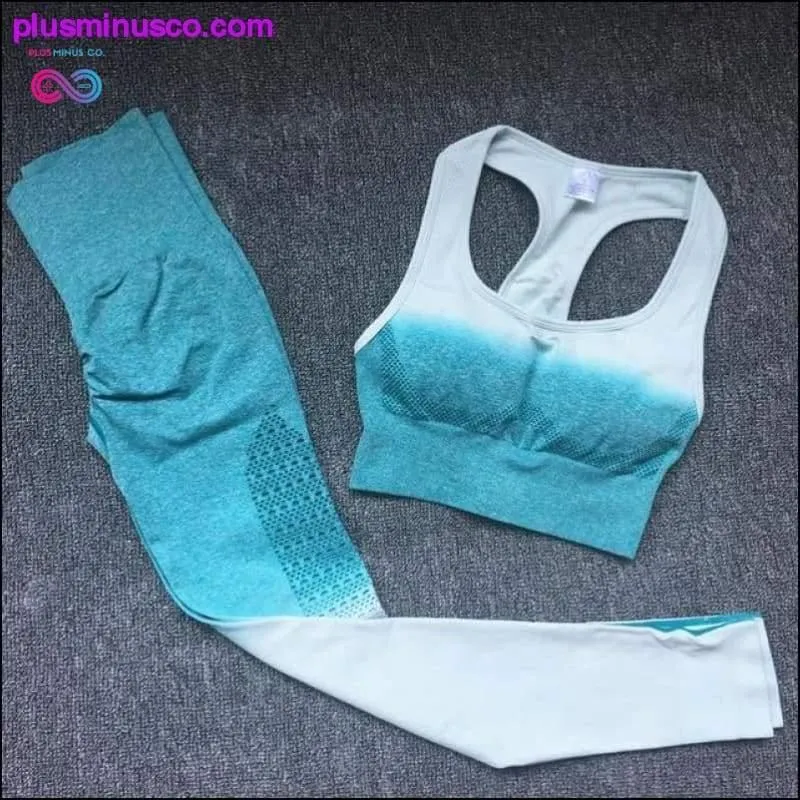 Ombre Seamless Gym Fitness Suit Bra Leggings High Waist Yoga