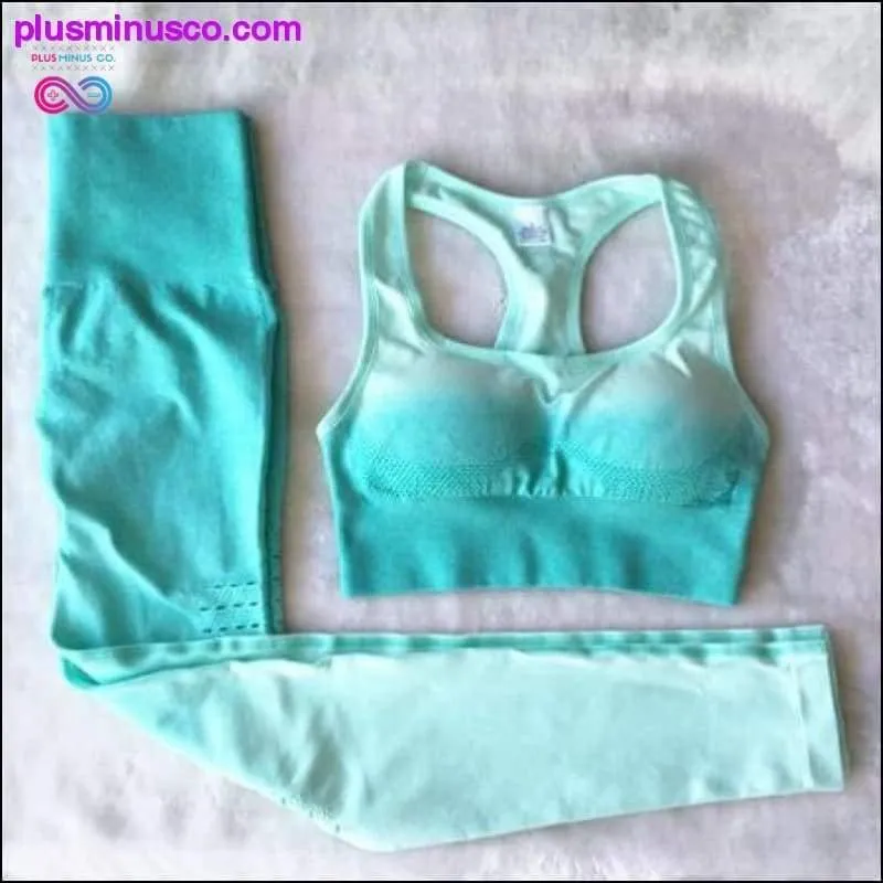 Ombre Seamless Gym Fitness Suit Bra Leggings High Waist Yoga