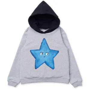 Painted Star Furry Hood