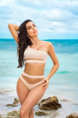 Shimmery Cut Out Two Piece Swimsuit