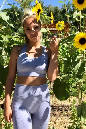 Sierra Sports Bra - Gray