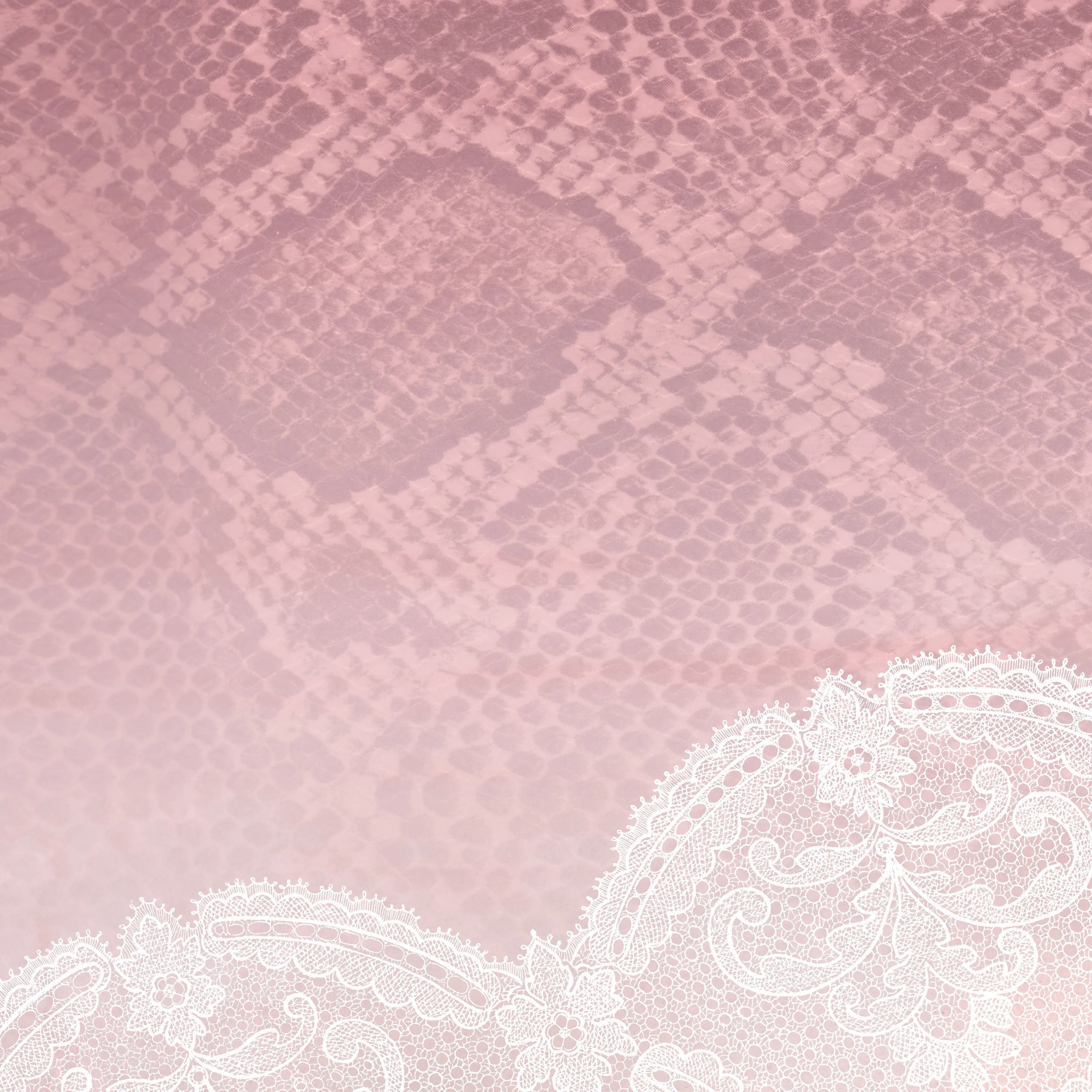 Snakeskin & Lace Capri