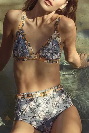 Split Bikini Sexy Swimsuit