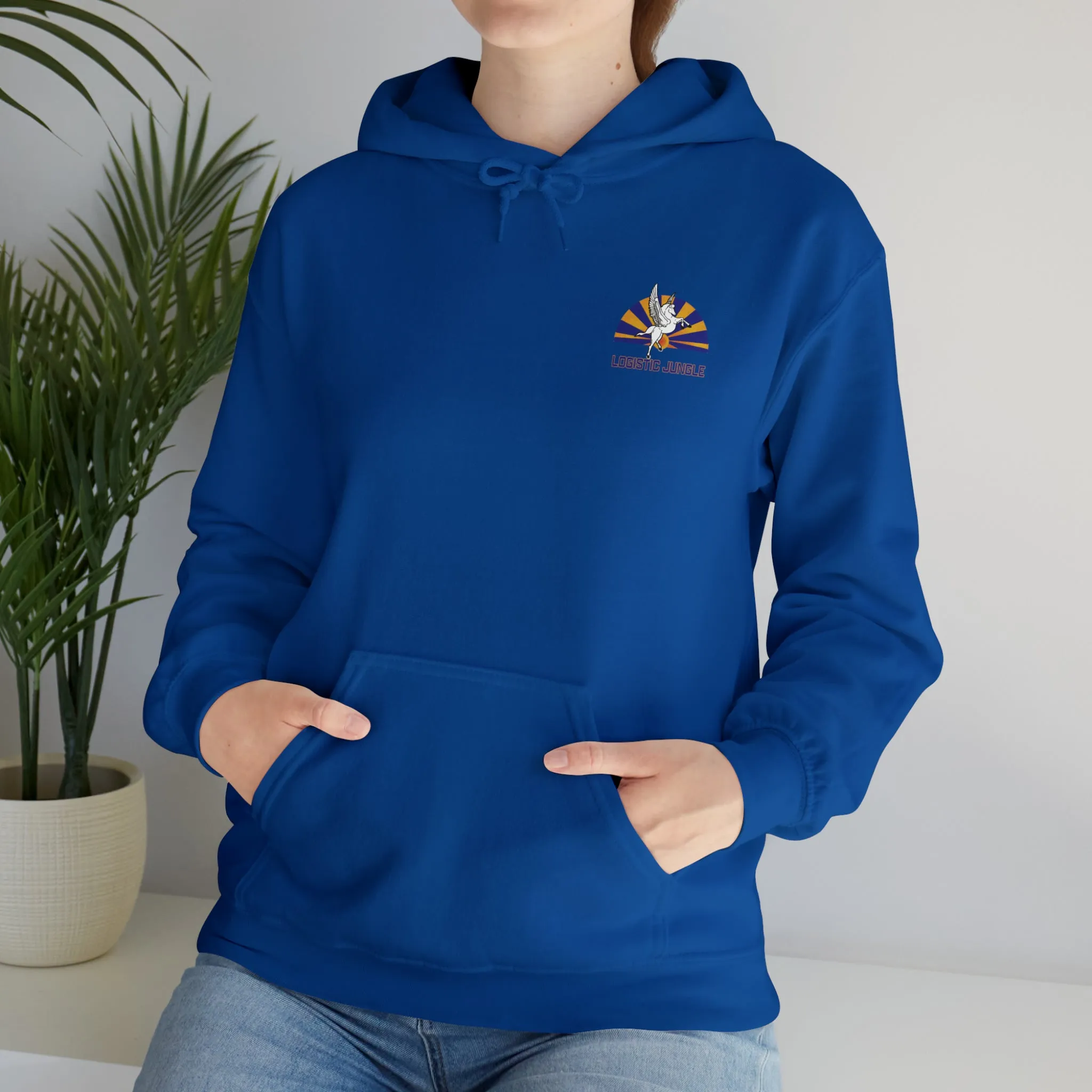 VRC-30 North Island Sundown Hooded Sweatshirt