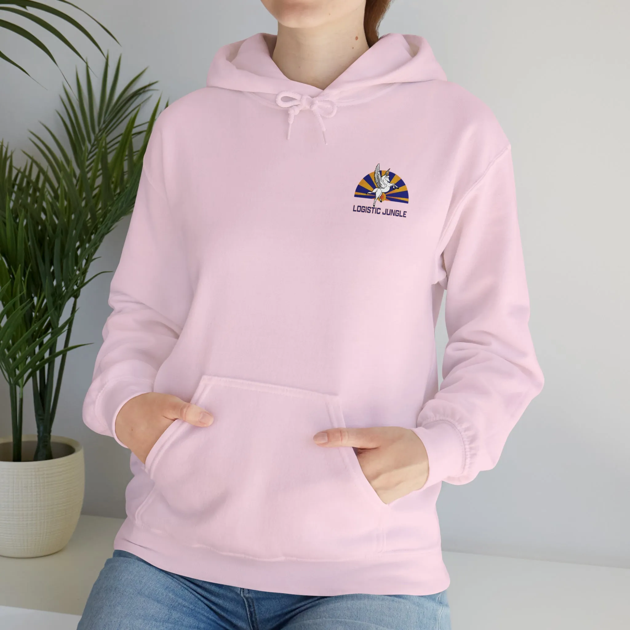 VRC-30 North Island Sundown Hooded Sweatshirt