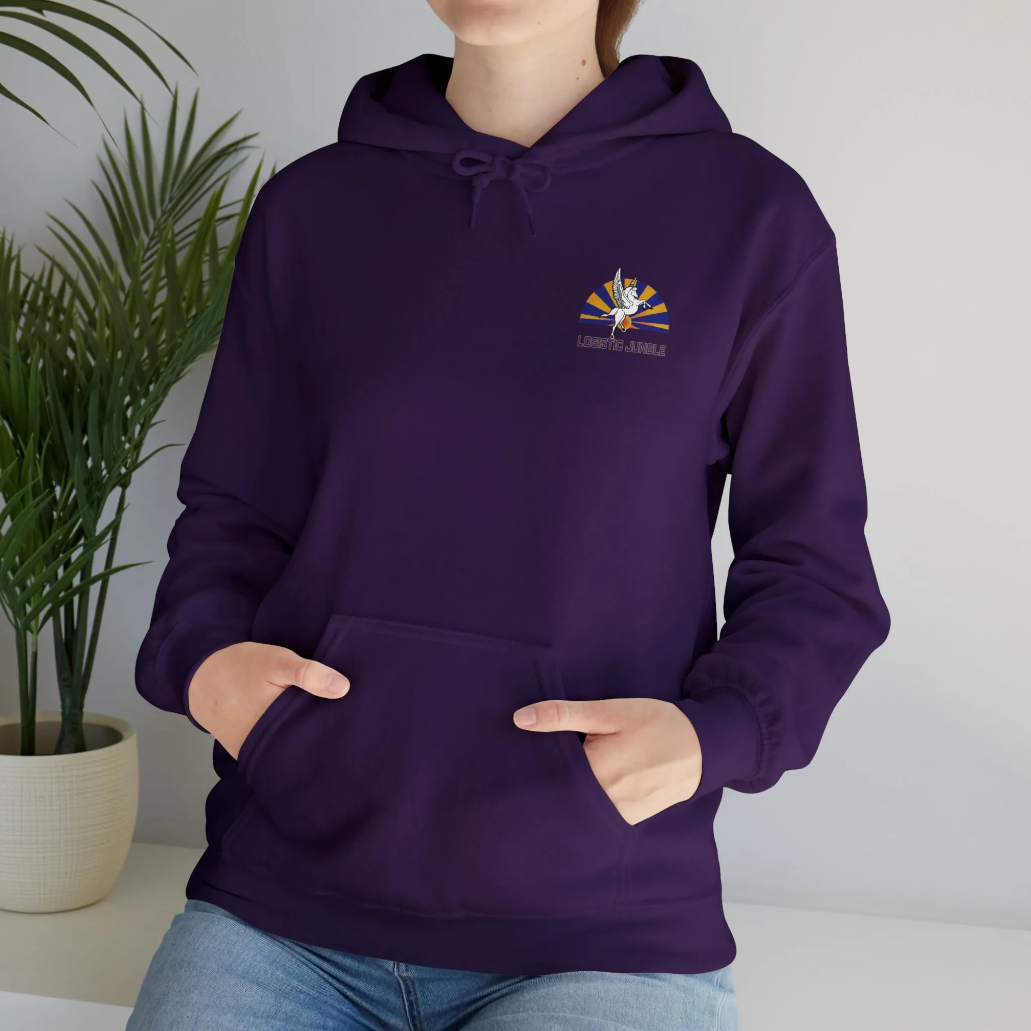 VRC-30 North Island Sundown Hooded Sweatshirt